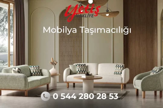 mobilya-taşımacılığı